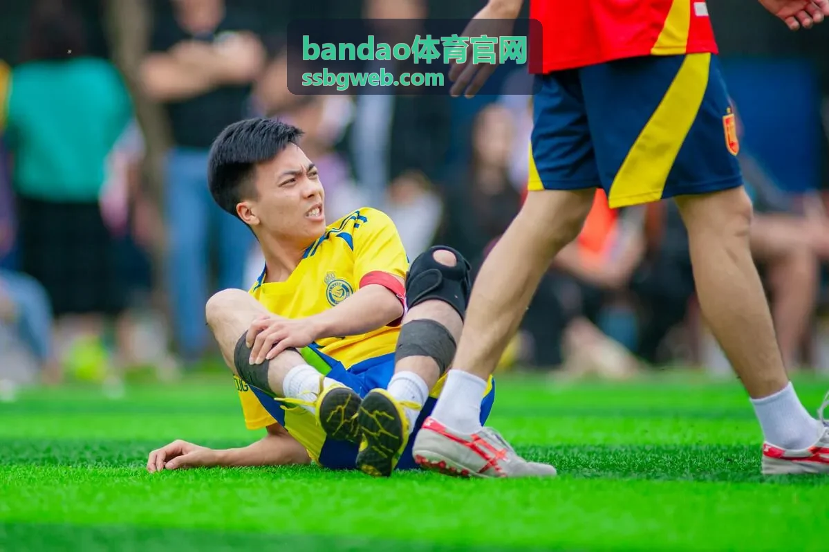 bandao体育官网直播预告主视觉封面